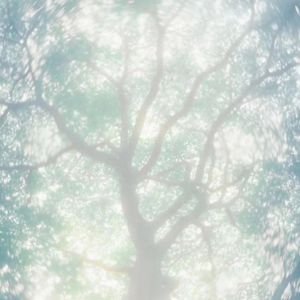 欧美肥老太XXXXXX
