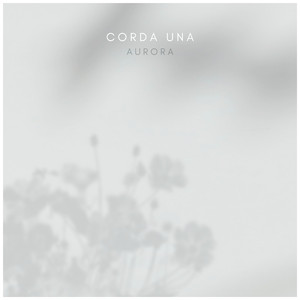 欧美肥老太XXXXXX
