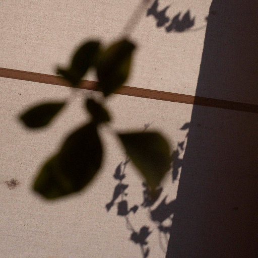 欧美肥老太XXXXXX
